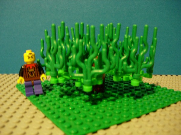 tree03.jpg