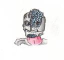 sz_head.png