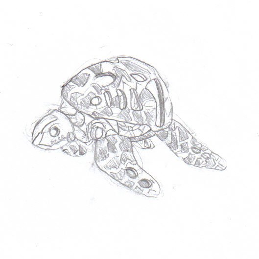 turtle.jpg