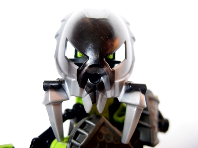 asidra_002.jpg
