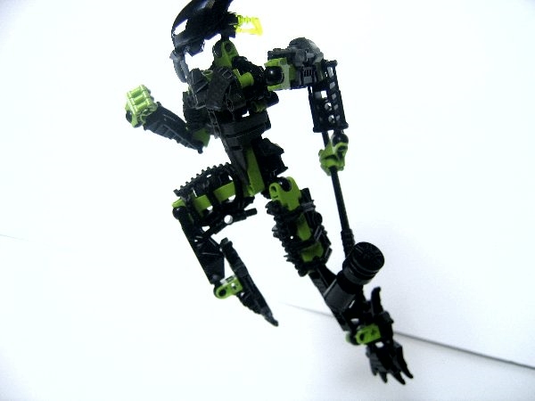 asidra_008.jpg