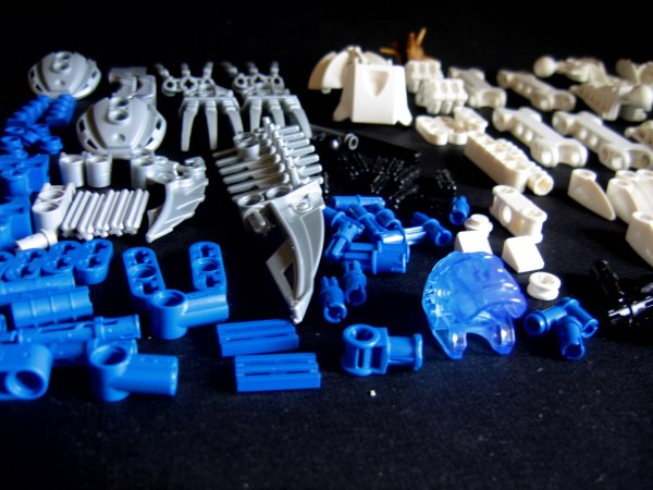 certavusparts_004.jpg