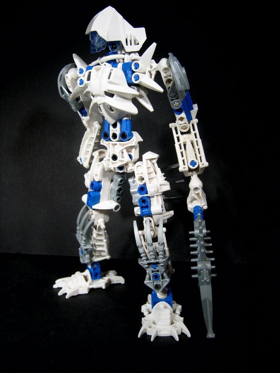 certavus.jpg