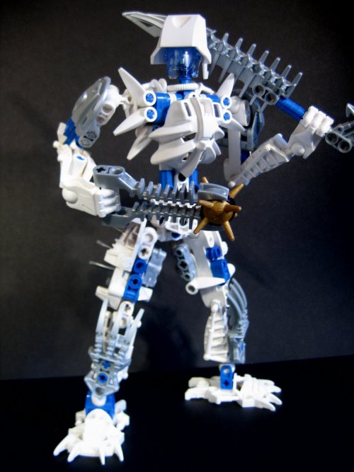 certavus_002.jpg