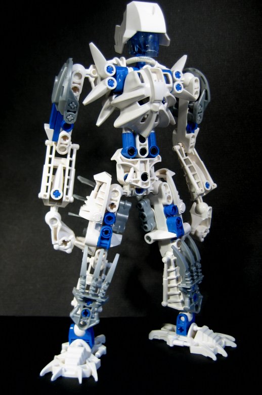 certavus_003.jpg