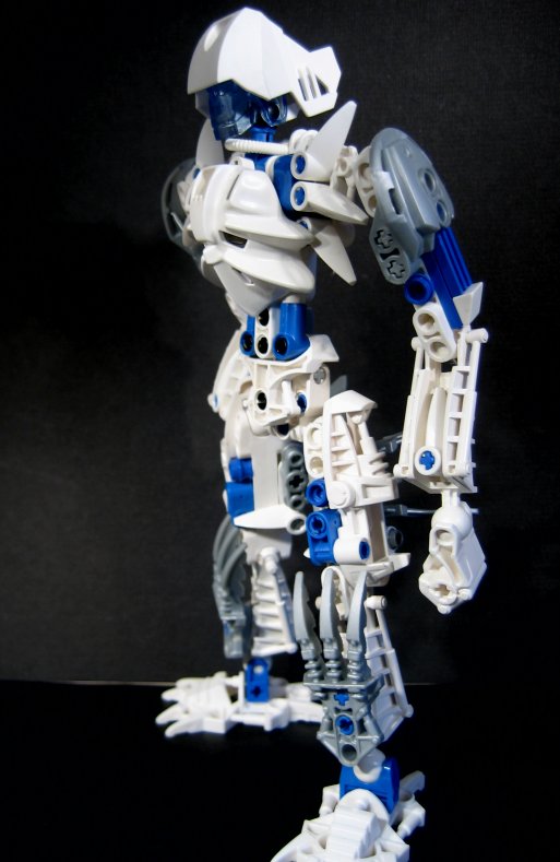 certavus_004.jpg