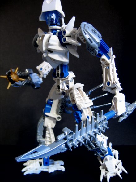 certavus_005.jpg