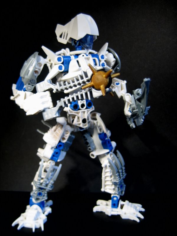 certavus_022.jpg