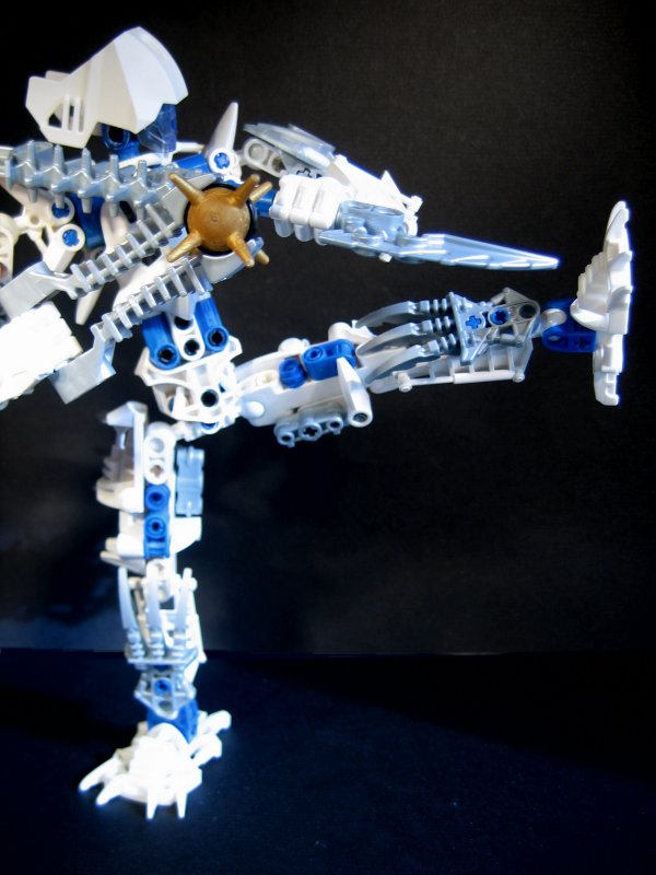 certavus_024.jpg
