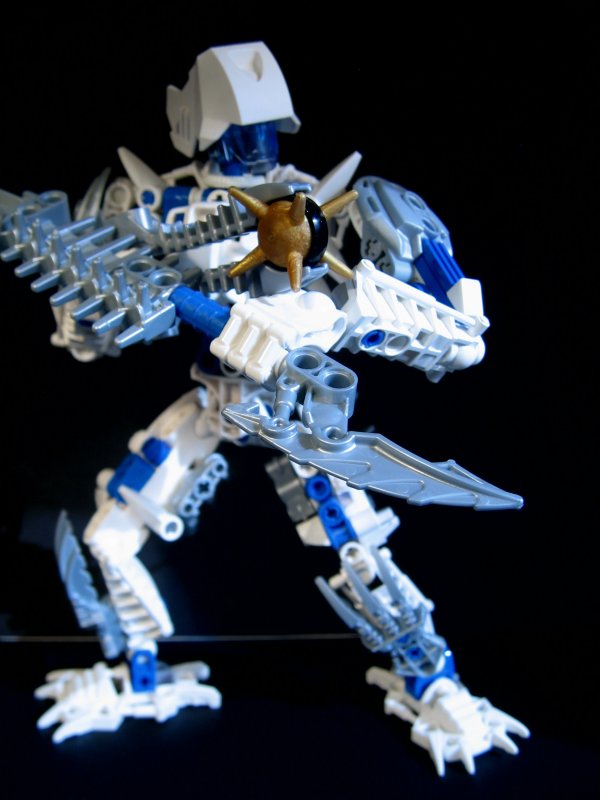 certavus_025.jpg