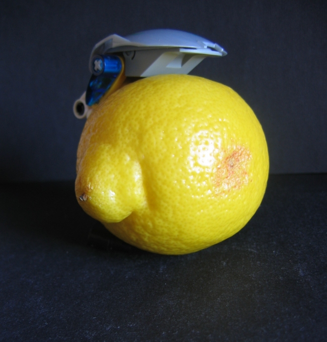 citrokkal_008.jpg
