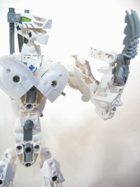 claws_001.jpg
