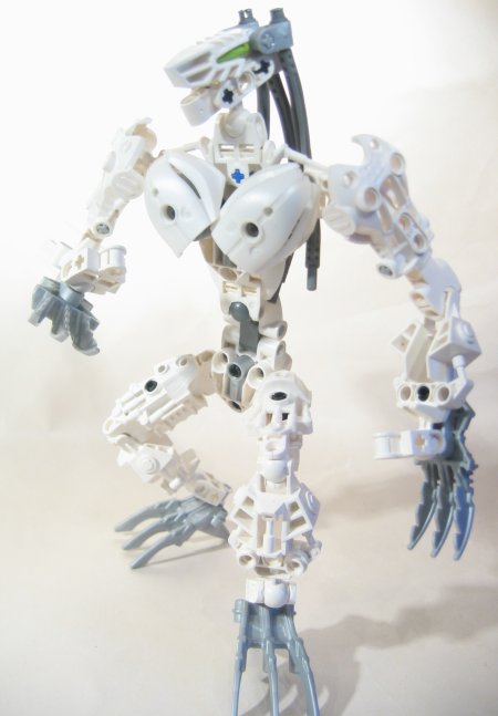 claws_005.jpg