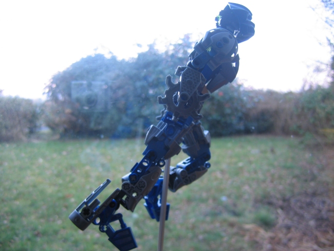 galiadaptivearmorfly_002.jpg