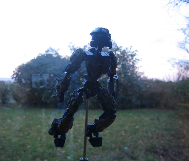 galiadaptivearmorfly_003.jpg