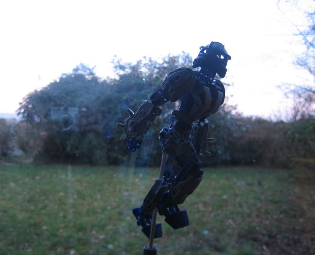 galiadaptivearmorfly_005.jpg