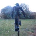 galiadaptivearmorfly_006.jpg
