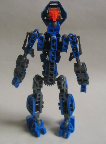 back.jpg