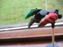 hand_010.jpg