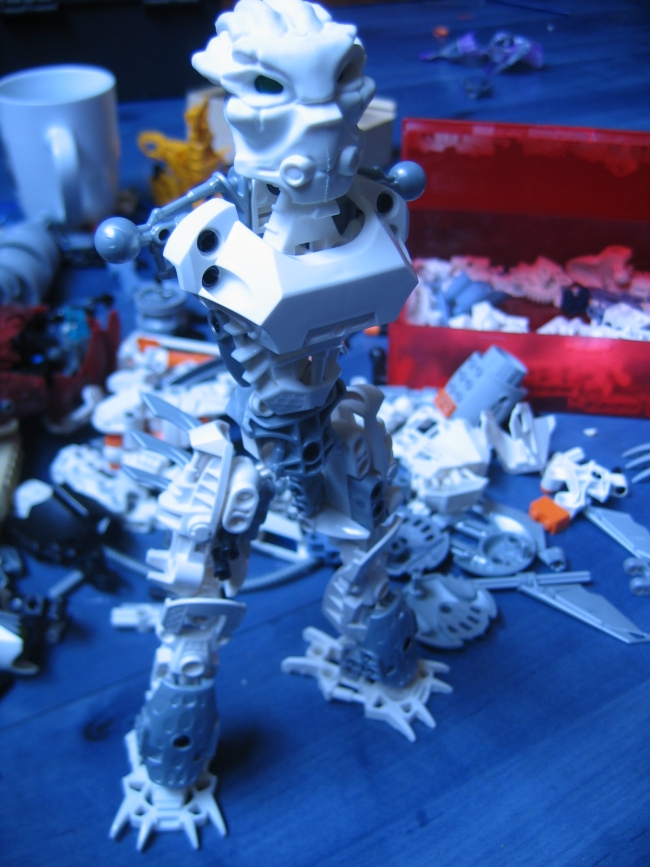 acerimmerwlegs_002.jpg