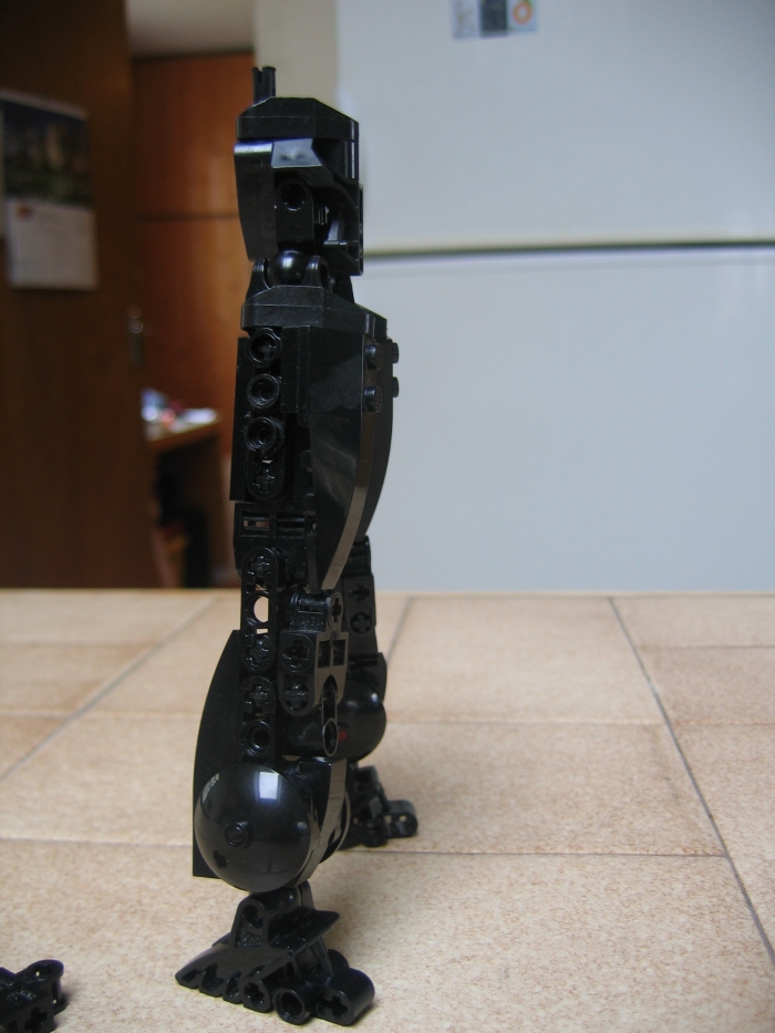 blackfusionwip_005.jpg