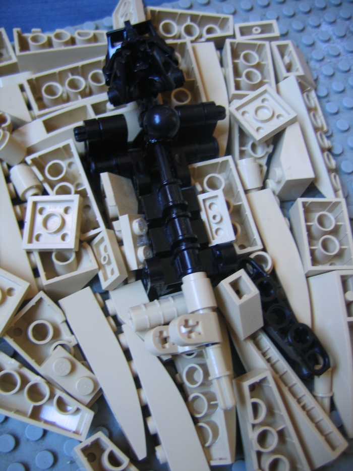 matalolwip_001.jpg