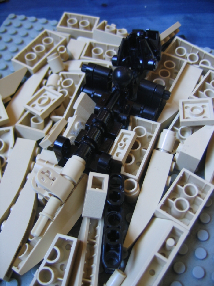 matalolwip_002.jpg