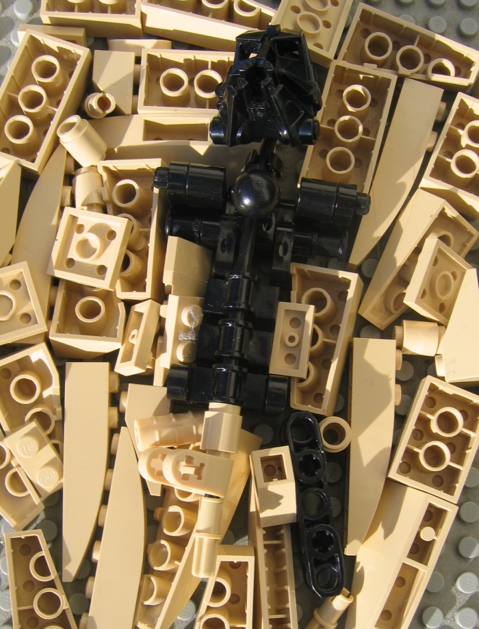 matalolwip_004.jpg