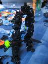 blacklegswip_002.jpg