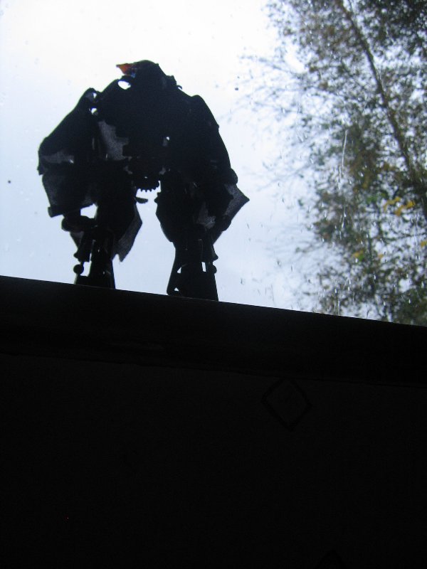 lonewanderer_012.jpg