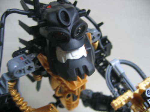 closeup.jpg