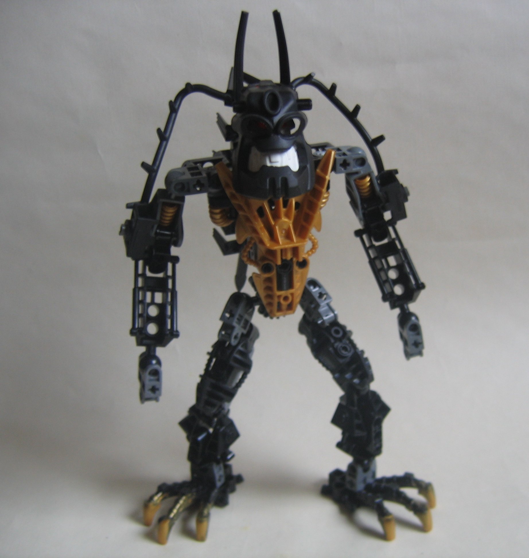 master_reidak.jpg