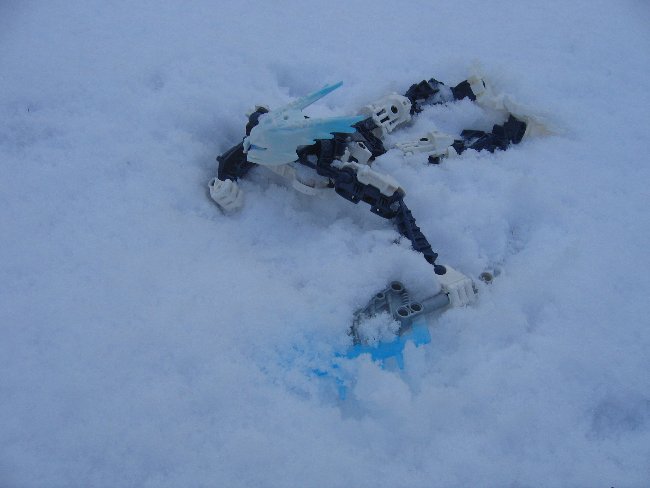 snowgelu8.jpg