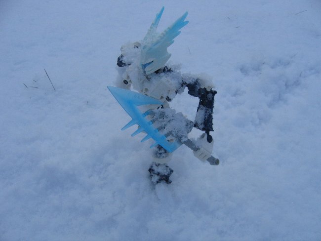snowgelu_10.jpg