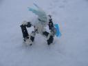 snowgelu3.jpg