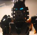 toadlakii_025.jpg