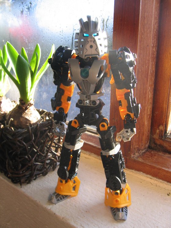 toadlakii_015.jpg