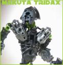 tridax_002.png
