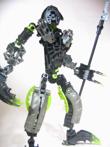tridax_001.jpg