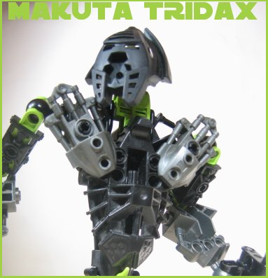tridax_002.png
