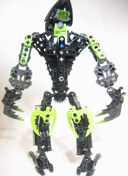 tridax_007.jpg