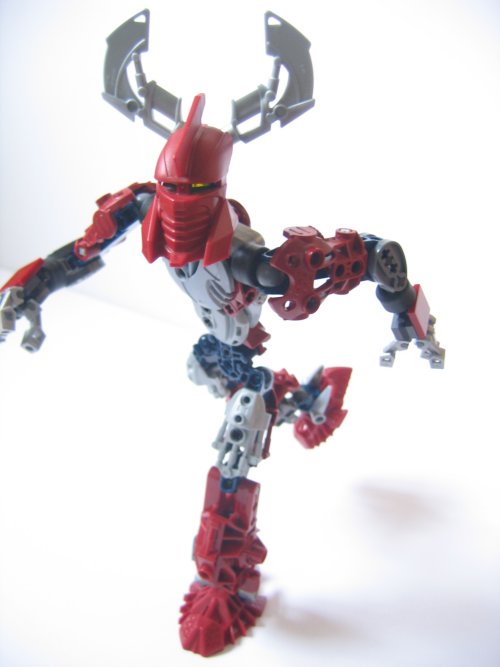 trinuma_007.jpg