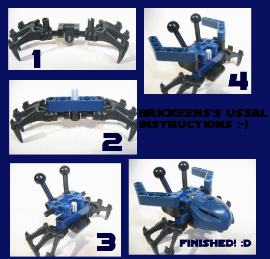 ussalinstructions.png