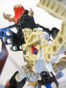 vorox_016.jpg