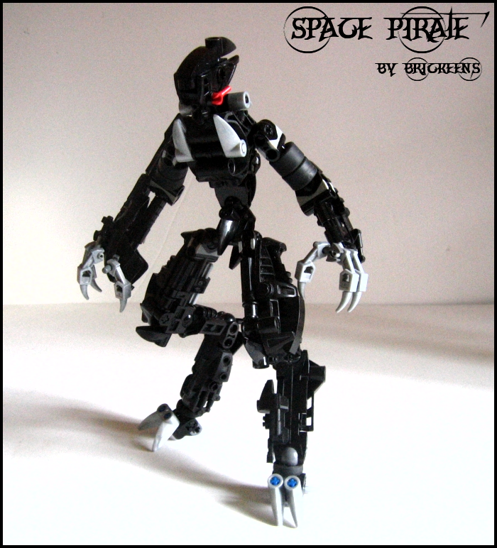 spacepirateentrypic.png