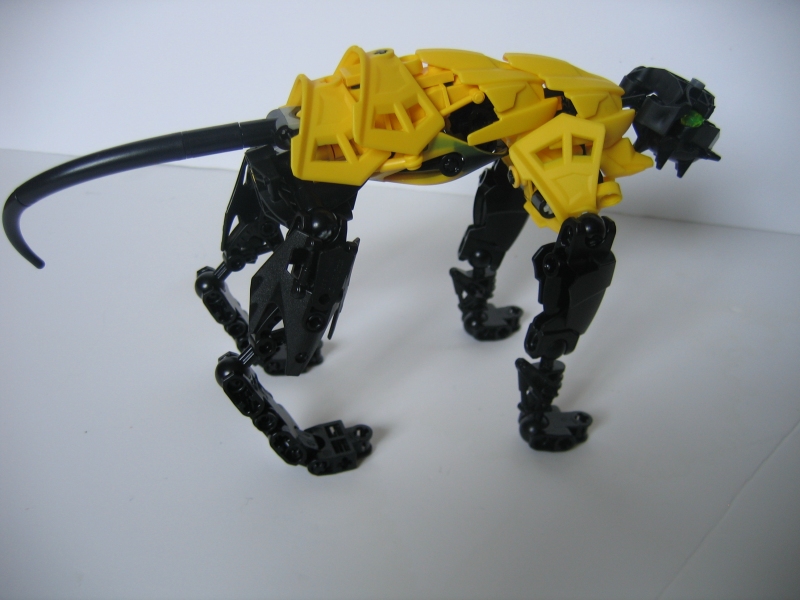 deserthound_008.jpg