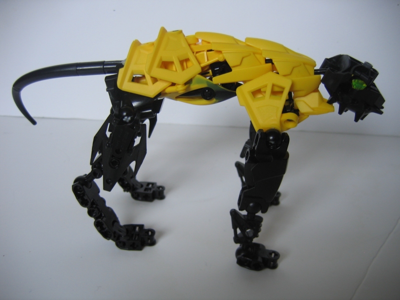 deserthound_013.jpg