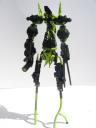 jungle_mecha_017.jpg