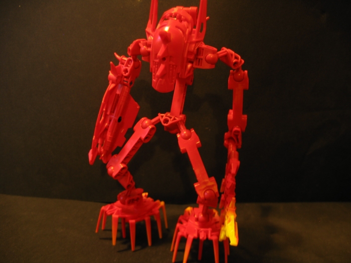 plode_001.jpg