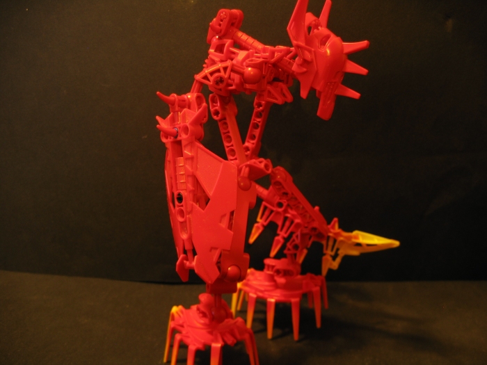plode_004.jpg